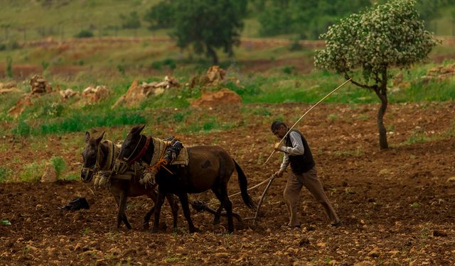 Batmanlı çiftçi girdi maliyetlerinden endişeli