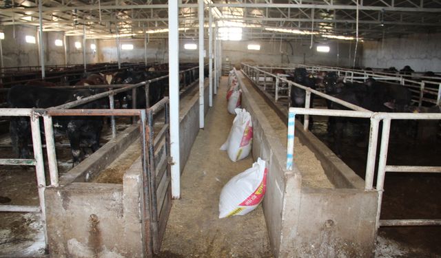 Besiciler: Artan maliyetler üretimi tehdit ediyor