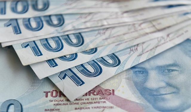 Engelli ve eski hükümlü vatandaşlar için hibe desteği başvuruları başladı
