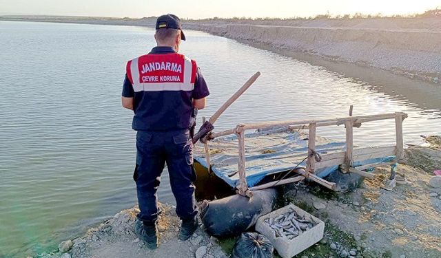 Batman'da Jandarma Kaçak Balık Avına göz açtırmadı