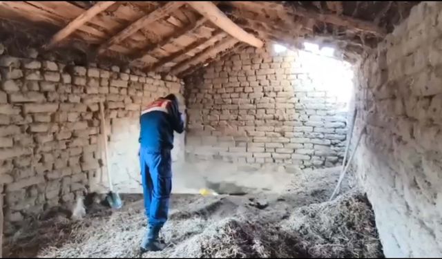 14 yıl önce ağabeyini öldürüp gömen şüpheli, adliyede
