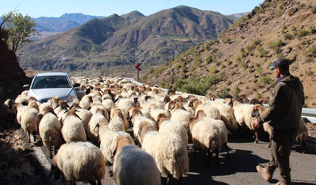 Göçerlerin aylarca süren zorlu göç yolculuğu başladı