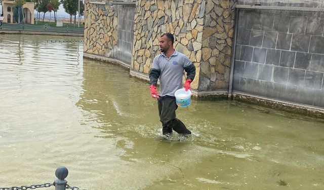 Havuz ve Şelalelerin Bakımı Aralıksız Sürüyor
