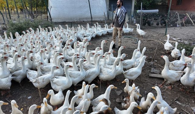 Beslediği kanatlı hayvanlarla kurduğu sıcak bağ tebessüm ettiriyor