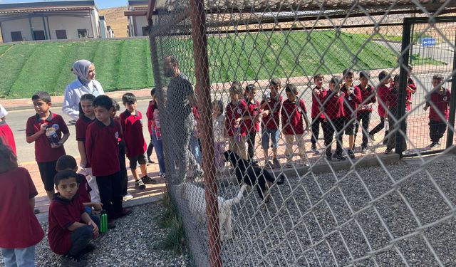 Öğrencilerden Sahipsiz Hayvanlara Anlamlı Ziyaret