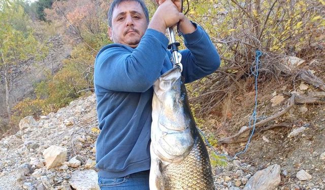 Amatör balıkçının oltasına 32 kiloluk turna balığı takıldı