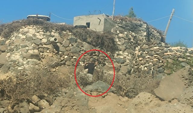 Mardin'de 2 aile arasında kavga; 4 yaralı, kaçan şüpheli aranıyor