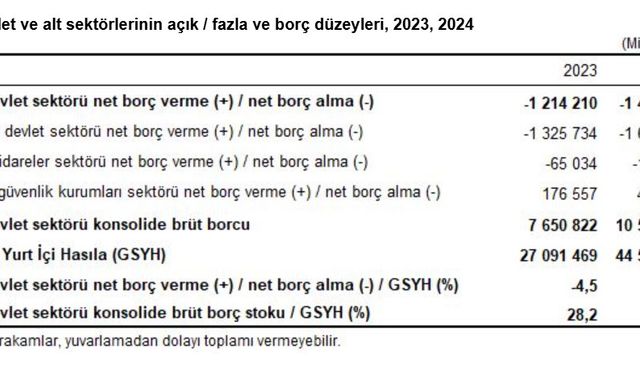 TÜİK: Devlet açığının GSYH'ye oranı 2024 yılında azaldı