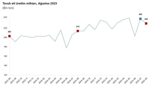 TÜİK: Tavuk eti üretimi azaldı, yumurta ve süt üretimi arttı