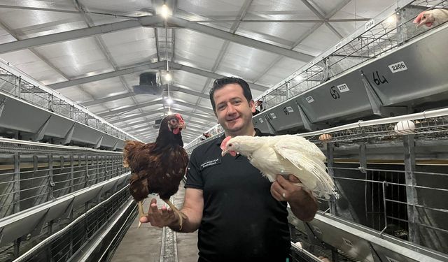 Yumurtacı damızlık civciv üretiminde yapay zeka dönemi