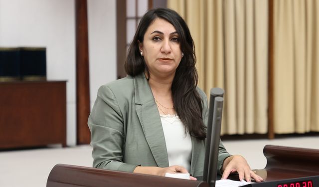 “DEM Partili Oduncu: Kültürel miras yerelden alınıp saraya devrediliyor”