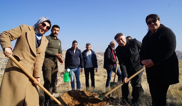 Batı Raman Kampüsünde Fidan Dikim Etkinliği
