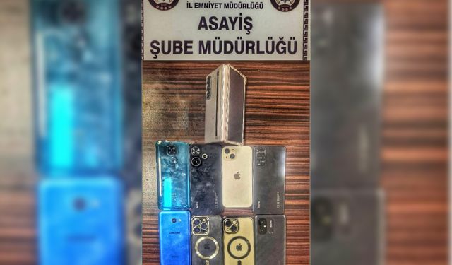 Mardin'de hırsızlık ve yankesicilik olaylarına karışan 4 şahıs suçüstü yakalandı