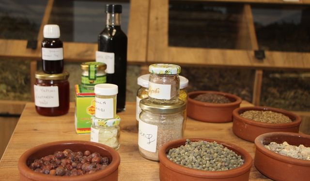 Bağışıklığa hangi bitki iyi geliyor? Zinde kalmak için ne yapmalıyız?