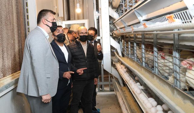 Batman'da Avrupa standartlarında yumurta üretim tesisi kuruldu