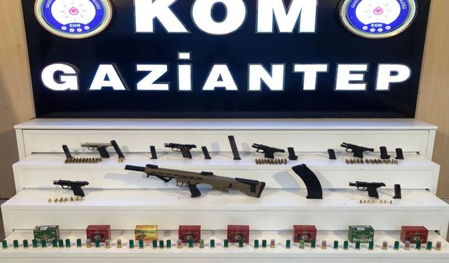 Silah ve mühimmat ele geçirildi: 1 tutuklama