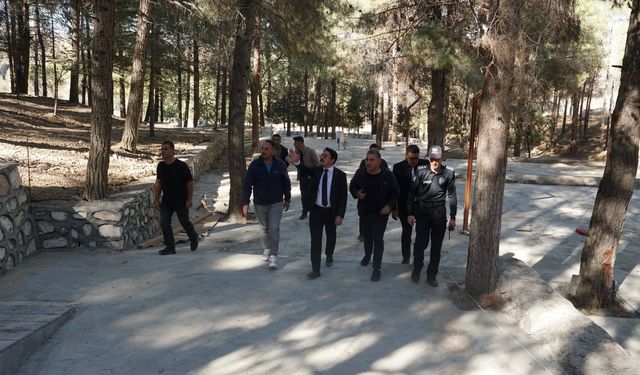 Beşiri Kaymakamı Yılmaz, Mesire Alanında İncelemelerde Bulundu