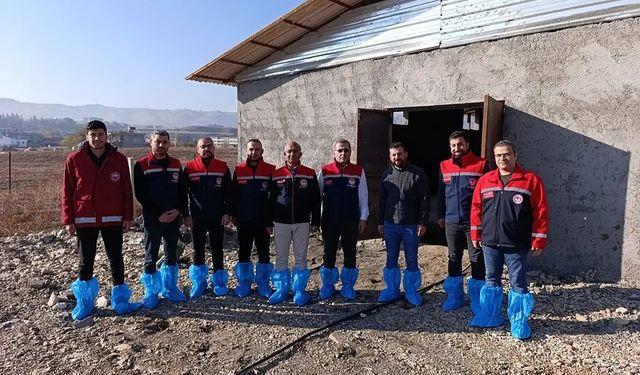 Siirt’te üreticiye destek amaçlı 48 angus gebe düve teslim edildi