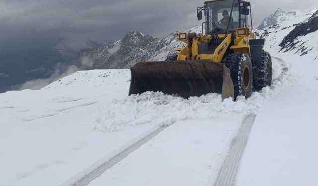 Şırnak'a yılın ilk karı düştü