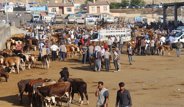 Diyarbakır hayvan pazarı 4 ay sonra yeniden açıldı