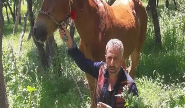 Cezaevinden izinli çıkan babasını öldüren sanığa 15 yıl 10 ay hapis, annesine beraat