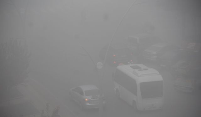 Batman'da yoğun sis: Görüş mesafesi metreleri buldu