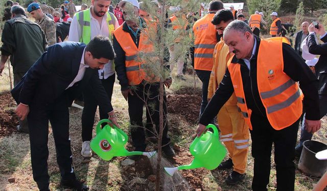 DEPSAŞ Enerji’den Diyarbakır'daki Makam Dağı’na 3 bin fidan