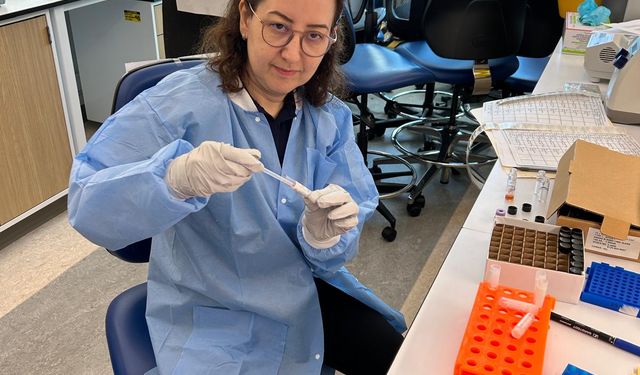 Talasemi hastalığında kan nakli güvenliğini artıran çalışma