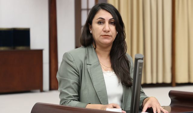 DEM Partili Oduncu: İşçi Sağlığı Ve Güvenliği Tehlikede