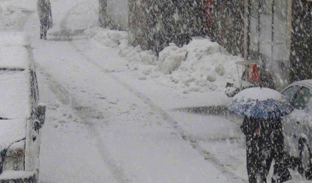 Siirt'te kar yağışı başladı