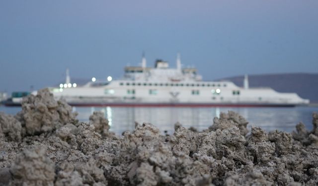 Van Gölü’nde sular çekildi, mikrobiyolitler ortaya çıktı