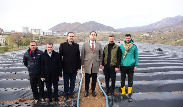 Sason’da Çileği Üretim Alanları Her Yıl Genişliyor