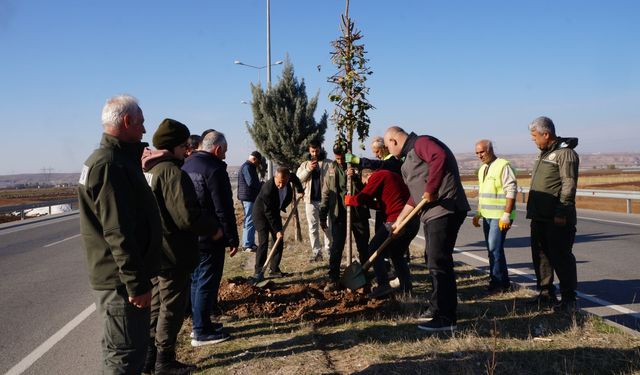 Yeşil Kuşak Projesine Üst Düzey İnceleme