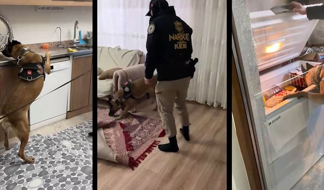 Uyuşturucu satıcılarına şafak operasyonu: 20 gözaltı