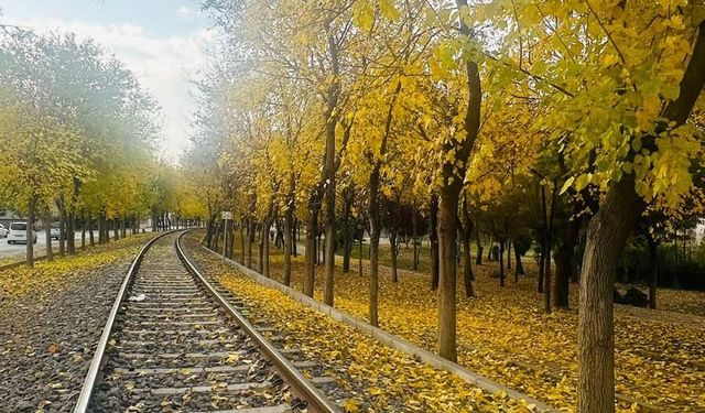 Batman’da Sonbahar Molası