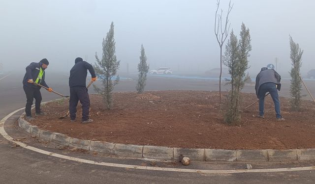 Sürücü Akademisi Yeşile Bürünüyor