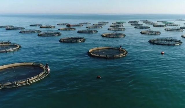 Su ürünleri avcılığı sözleşmeli üretim kapsamına alındı