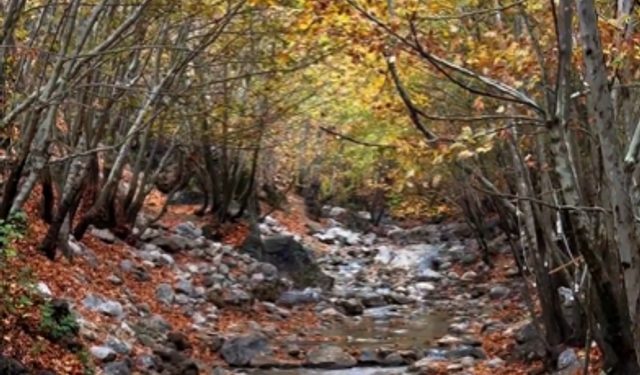 Kozluk’ta Sonbaharda Kartpostallık Görüntüler Büyüledi