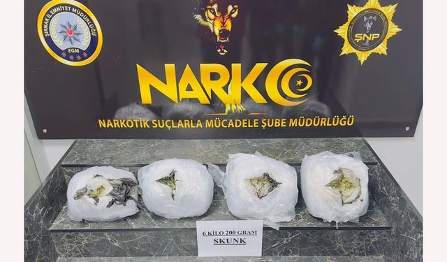 Şırnak’ta 6 kilo 200 gram skunk ele geçirildi