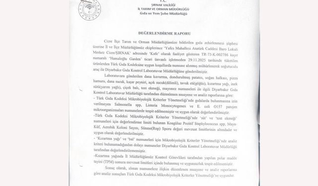 Şırnak'ta pizza yedikten sonra ölüm iddiası: İş yerinin gıda maddeleri temiz çıktı