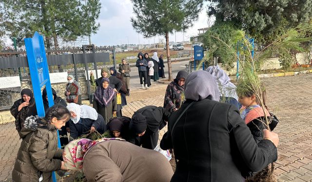 Belediyeden Duygulandıran Hizmet: Her Mezarın Yanına Bir Ağaç