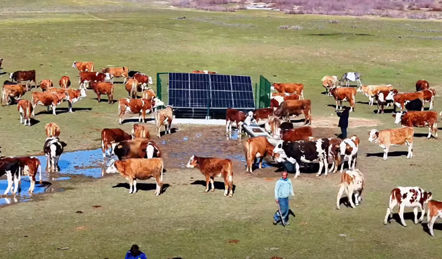 Batman’da Hayvancılığa Yenilenebilir Enerji Desteği