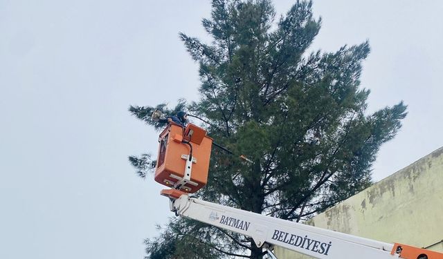 Batman Belediyesi’nden Ağaçlara Kış Bakımı