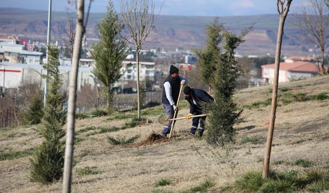 Batman Yeşilleniyor