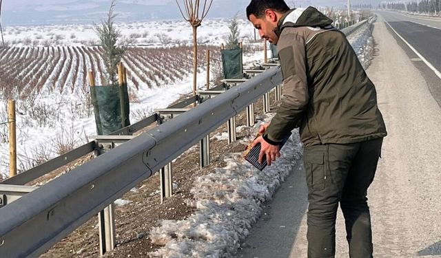 Batman'da yaban hayatına kış desteği