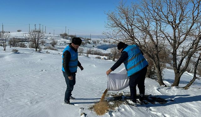 Batman’da Yaban hayvanları için yem, mama ve et bırakıldı