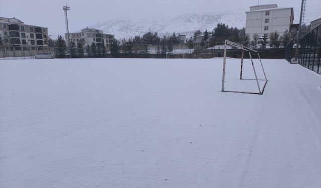 Gercüş Beyaza Büründü