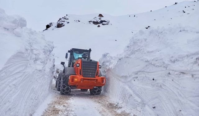 Sason’da Kar Duvarı Aşıldı: 2 Metreyi Geçen Kara Rağmen Yollar Açık