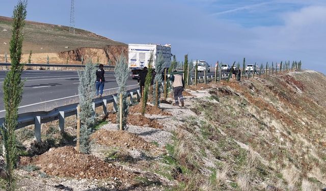 10 Metre Yüksekliğinde Işıklı “Batman” Yazısı