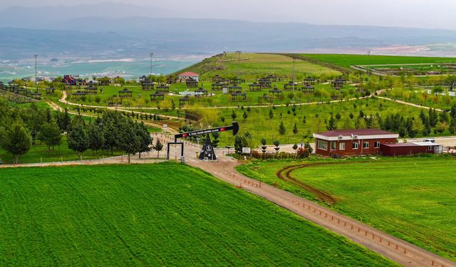 MESİRE ALANI İŞLERİ YAPTIRILACAKTIR